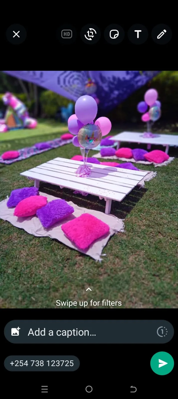 Picnic Pillows